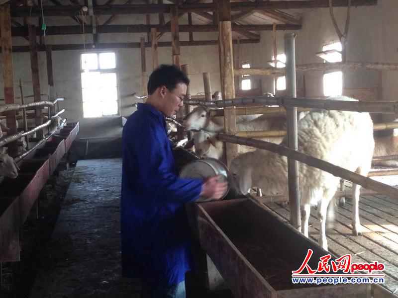 人民網(wǎng)記者新春走基層 大學(xué)生“羊倌”的創(chuàng)業(yè)夢(mèng)想