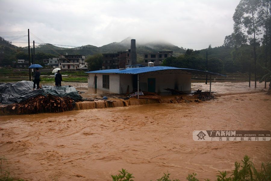岑溪市受強(qiáng)降雨侵襲引發(fā)洪水 群眾被困屋內(nèi)(1/6)