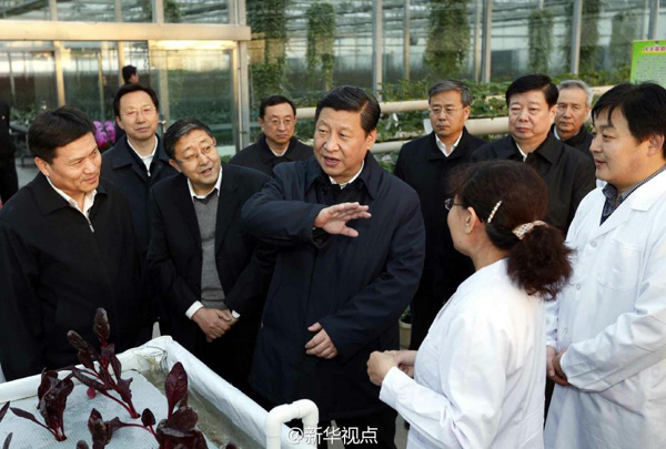 習(xí)近平：手中有糧，心中不慌