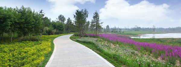 昔日華北煤都 今日生態(tài)花園 ——大同市致力生態(tài)建設(shè)改善人居環(huán)境