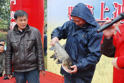 賞油菜花海 品農(nóng)家風(fēng)情 “美麗武穴”鄉(xiāng)村游醉美“自駕游”