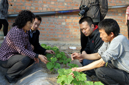 山西農(nóng)業(yè)專家萬(wàn)里援疆到新疆兵團(tuán)第六師共青團(tuán)農(nóng)場(chǎng)傳技術(shù)