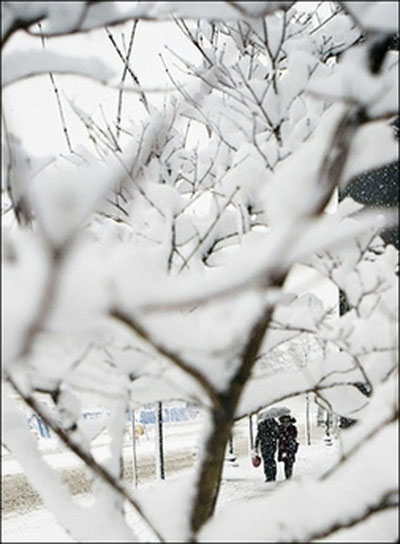 民生百態(tài)：美國中西部暴風(fēng)雪下的快樂與痛苦
