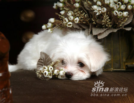 生氣來(lái)最難哄的星座大排行