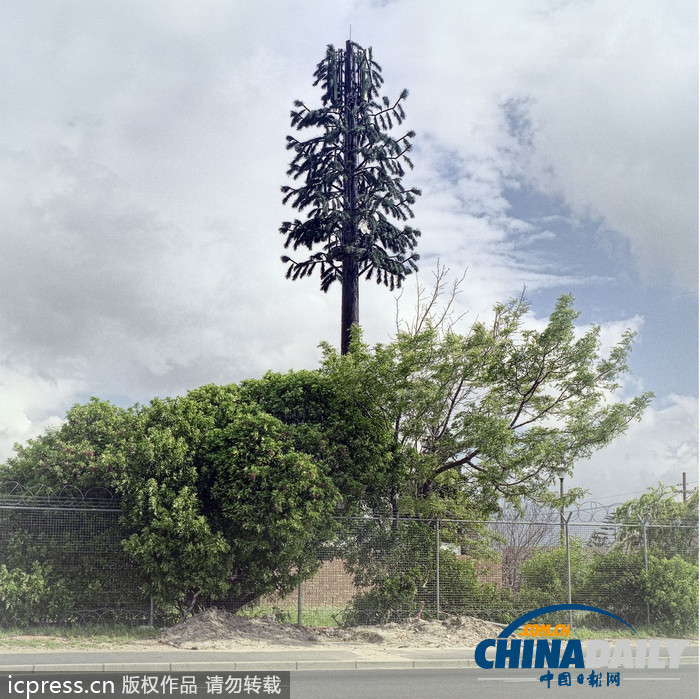 外來物種入侵？ 信號(hào)塔偽裝成植物大變身（組圖）