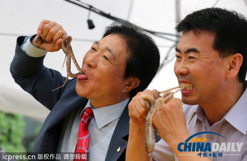 韓飲食節(jié)舉辦生吃魷魚比賽