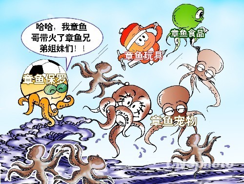 保羅身價(jià)水漲船高 將成章魚界首個(gè)“百萬富翁”