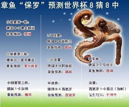 保羅身價(jià)水漲船高 將成章魚界首個(gè)“百萬富翁”