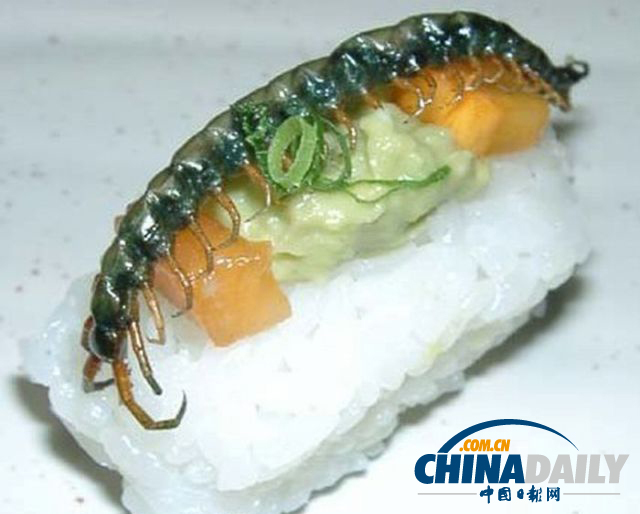 世界各地超級(jí)恐怖的蟲子大餐（組圖）