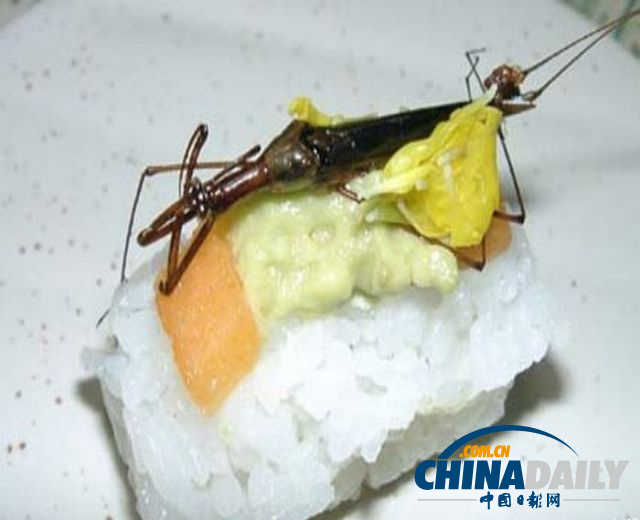 世界各地超級恐怖的蟲子大餐（組圖）