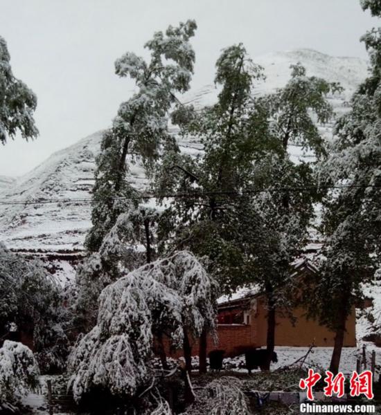 甘肅：局地現(xiàn)“夏日飛雪”奇觀(圖)