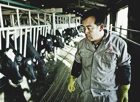 伊利投資輝山 成國(guó)內(nèi)首支市值千億乳業(yè)股