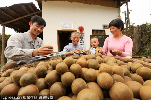 中國羅漢果變身美國汽水產(chǎn)業(yè)大救星？