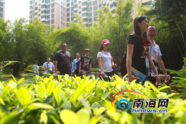 十年磨一劍 “五個龍華”鑄造?？诂F(xiàn)代化新城區(qū)