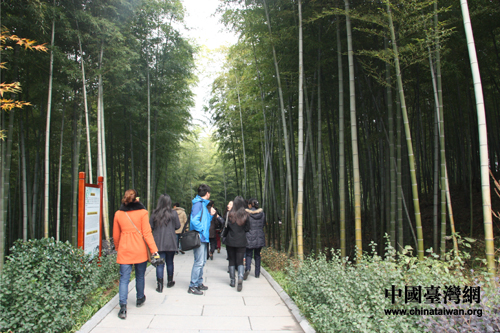 全國網(wǎng)媒走進(jìn)常州溧陽 感受南山竹海竹之美（圖）