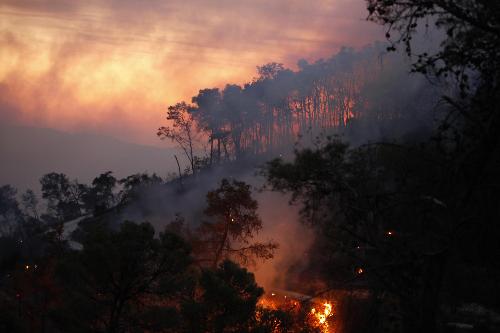 以色列北部發(fā)生山火約40人死亡 呼吁多國(guó)援助