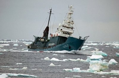 反捕鯨組織與日本捕鯨船再起沖突 遭高壓水槍驅趕