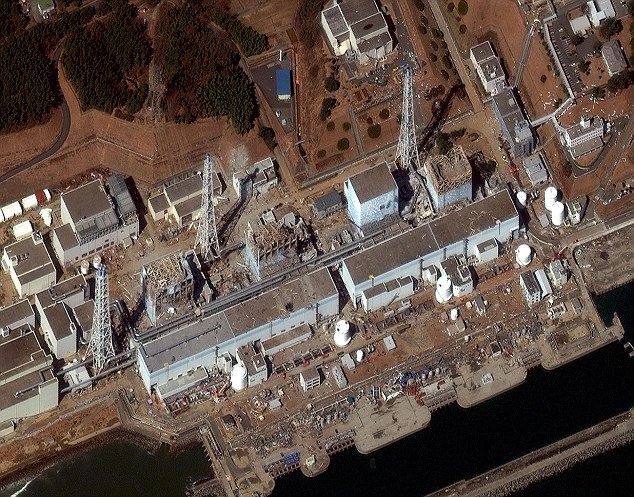 核泄危機(jī)得到控制 IAEA謹(jǐn)慎大于樂(lè)觀
