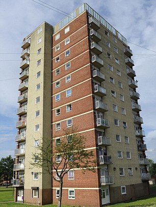12層高樓摔落基本沒事 英國小貓被稱“幸運(yùn)星”