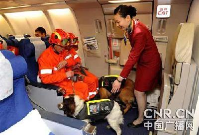 專家:中國(guó)軍隊(duì)?wèi)?yīng)準(zhǔn)備擔(dān)負(fù)更多境外非戰(zhàn)爭(zhēng)任務(wù)