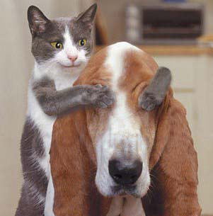 親愛(ài)的，猜猜我是誰(shuí)？