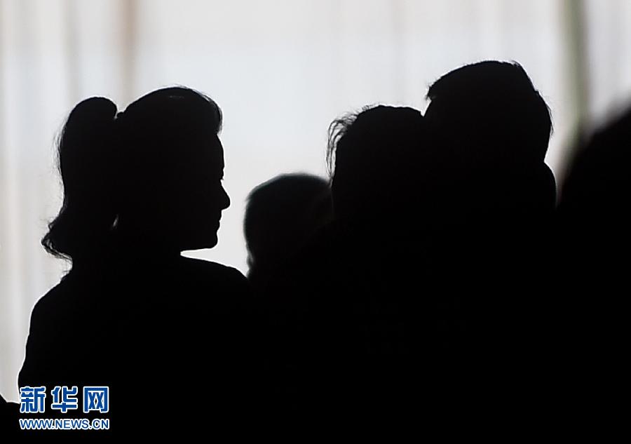 兩會(huì)：委員身影
