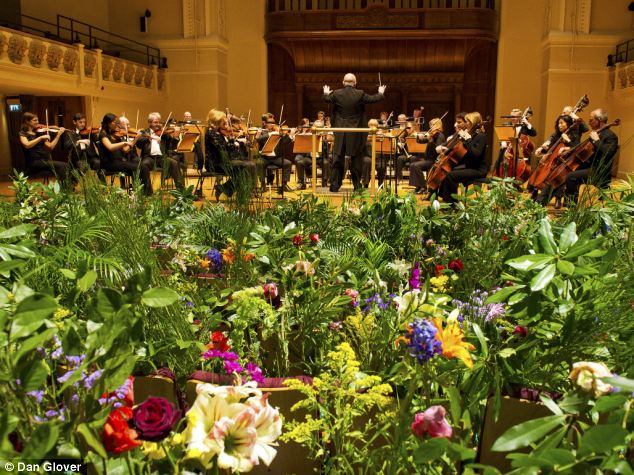 植物喜聽古典音樂？英皇家愛樂對“花”彈琴3小時