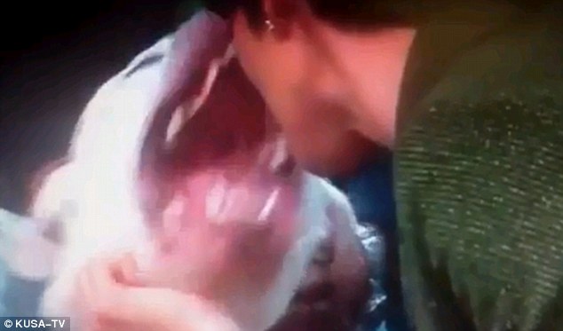美國女主持直播中“采訪”烈犬嘉賓 被咬傷嘴唇送醫(yī)院