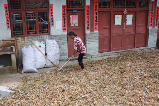 生態(tài)貴陽(yáng)打造“綠色長(zhǎng)城”