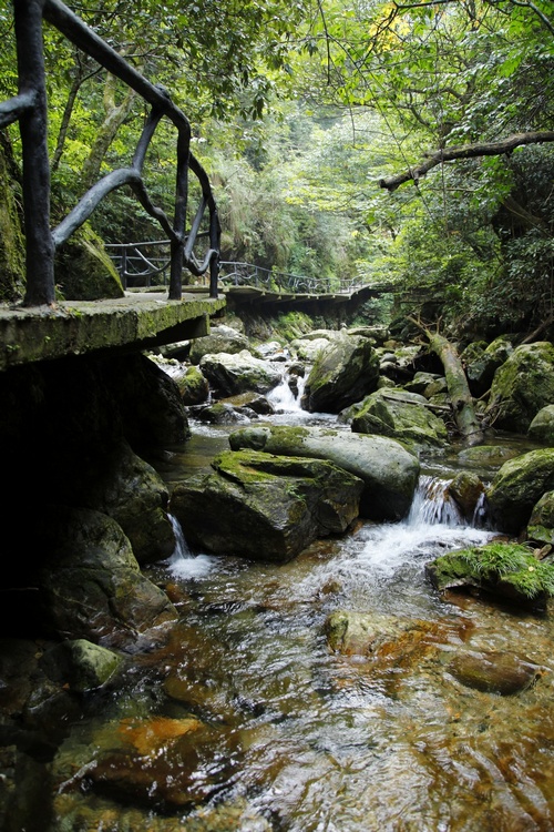 秋光里，穿越在黃山最原始的峽谷中“尋古探幽”