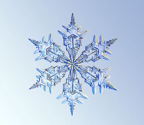 怎一個(gè)美字了得！美國科學(xué)家?guī)闶フQ看雪花(圖)