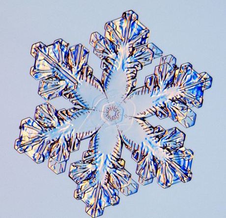 怎一個美字了得！美國科學家?guī)闶フQ看雪花(圖)