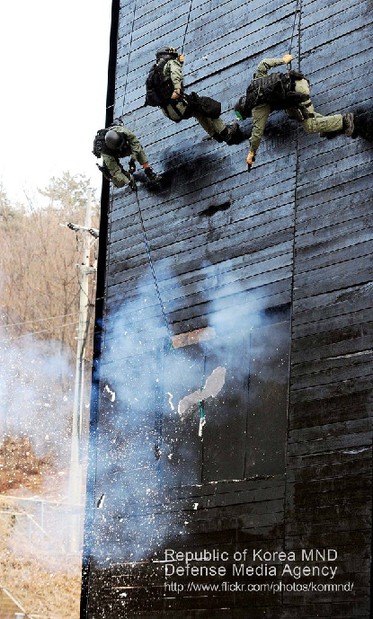 韓國海軍精銳水下爆破隊(duì)曝光 隊(duì)員個個是肌肉男