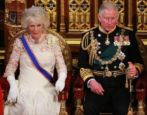 英女王國(guó)會(huì)大典講話(huà)屢出錯(cuò) 卡米拉扮相似王后
