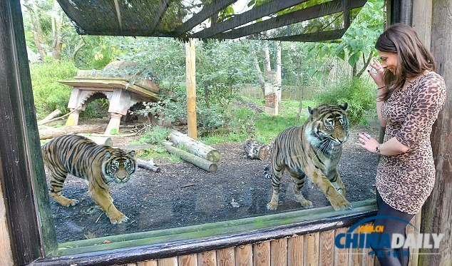 英國(guó)一動(dòng)物園禁穿豹紋服 因?yàn)闀?huì)使動(dòng)物感到“困惑”