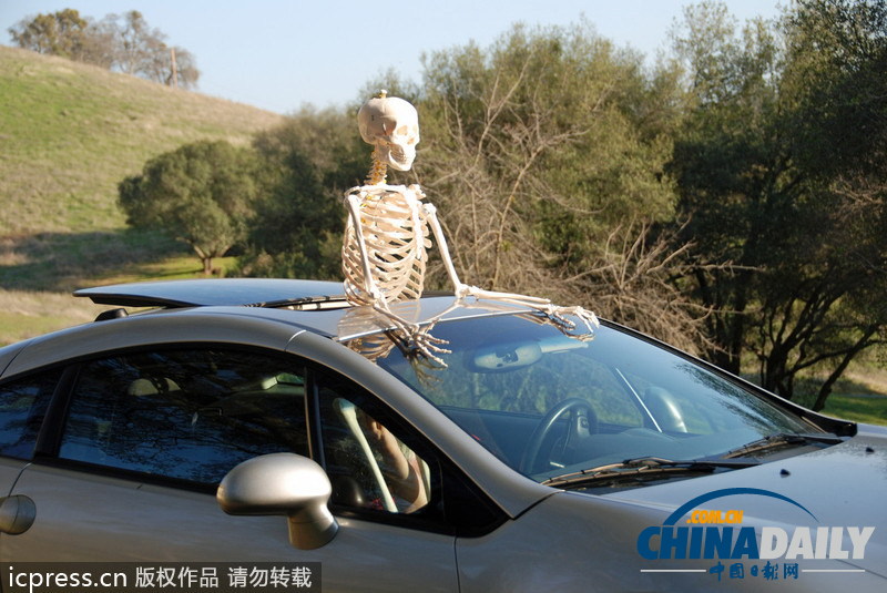 人體骨架一年內(nèi)周游世界 體驗做人的感覺