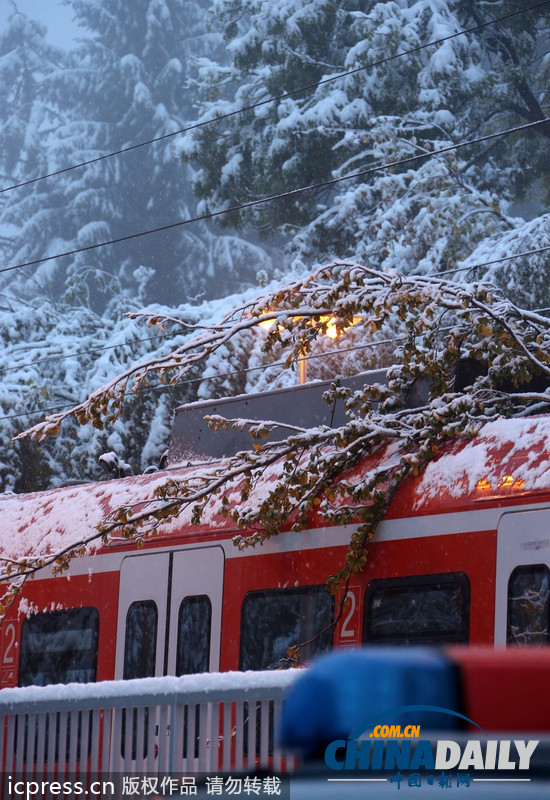 德國巴伐利亞大雪成災(zāi) 鐵路交通陷于癱瘓（圖）