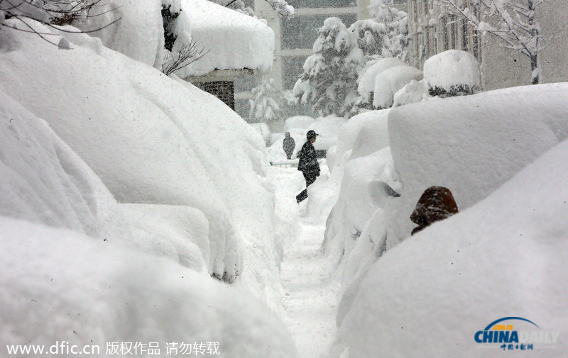 韓國暴雪持續(xù)5日 汽車被埋紅綠燈遭積雪覆蓋
