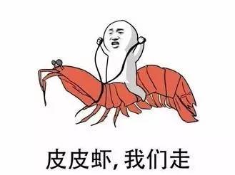 2017年最火的網(wǎng)絡(luò)流行語是這些！