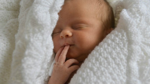 Sleepy? Blame your parents! 總發(fā)困？怨父母!