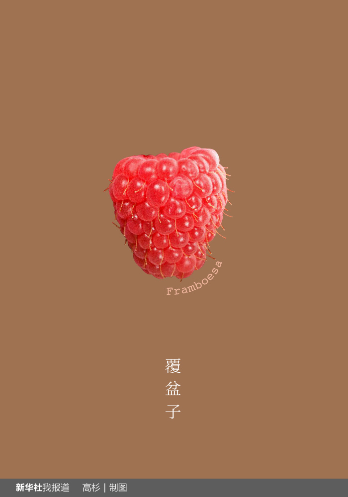 “瘋狂水果城”里約：給你點(diǎn)顏色瞧瞧！