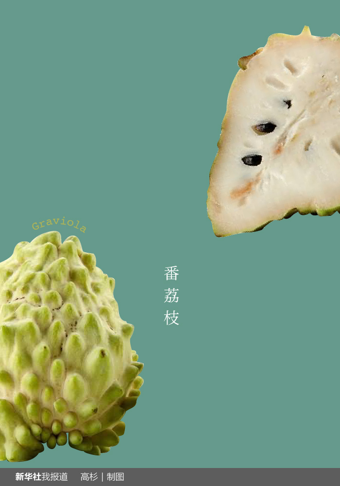 “瘋狂水果城”里約：給你點顏色瞧瞧！