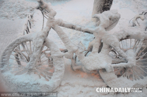 美國(guó)紐約遭遇史上最強(qiáng)暴風(fēng)雪