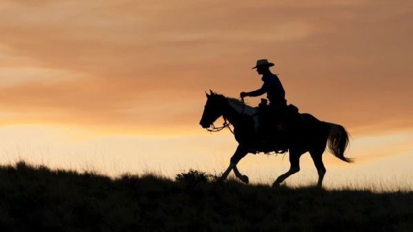 在挪威，texas不只是德克薩斯