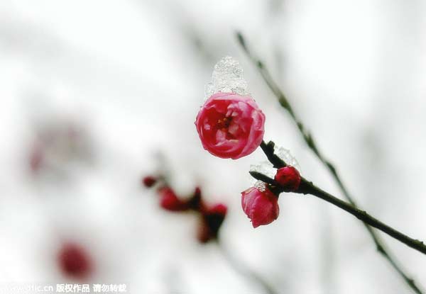 “立春”九大風(fēng)俗 雞蛋為啥能立起來(lái)？