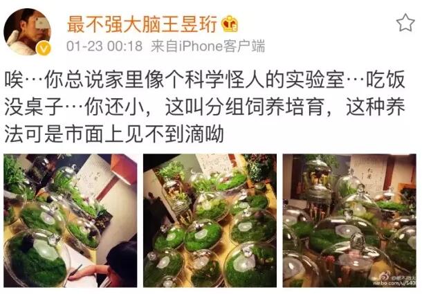 像最強大腦“水哥”這樣的神級人物，要用怎樣的英文詞來形容