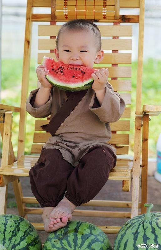 2歲萌娃吆喝自家西瓜 這個(gè)“瓜娃子”要火?。ńM圖）