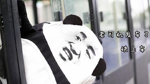 盤點(diǎn)：2016年度網(wǎng)絡(luò)熱詞你全懂嗎？（組圖）