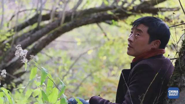 小康之路：他們曾經(jīng)是伐木人，如今卻成了護林員和藏香廠老板丨解碼中國