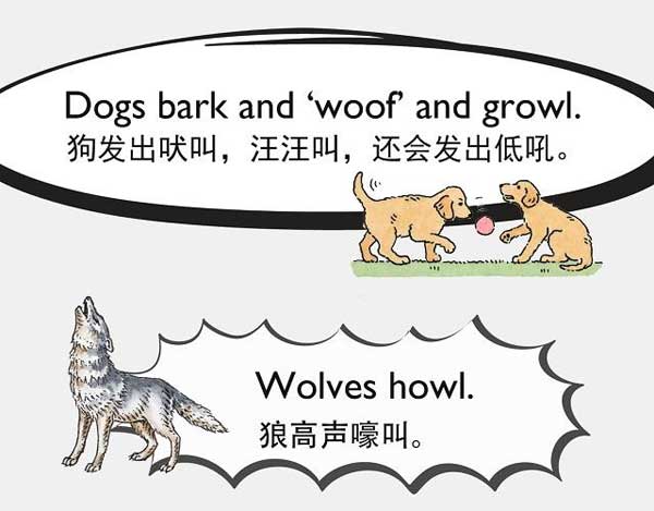 自然界中有各種聲音 如何用英語來描述動物的叫聲？